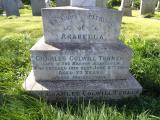 image of grave number 264783
